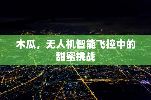 木瓜，无人机智能飞控中的甜蜜挑战