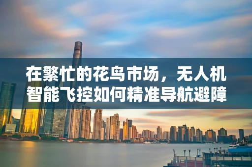 在繁忙的花鸟市场，无人机智能飞控如何精准导航避障？