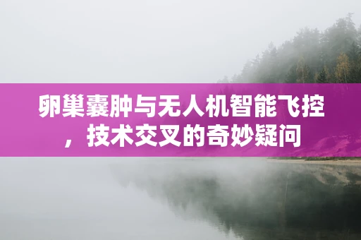 卵巢囊肿与无人机智能飞控，技术交叉的奇妙疑问