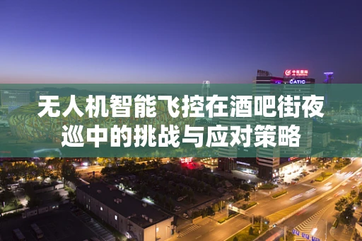 无人机智能飞控在酒吧街夜巡中的挑战与应对策略