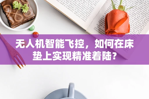 无人机智能飞控，如何在床垫上实现精准着陆？