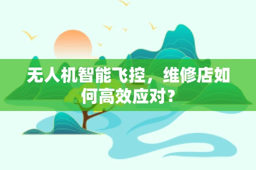 无人机智能飞控，维修店如何高效应对？