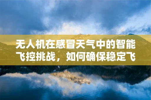 无人机在感冒天气中的智能飞控挑战，如何确保稳定飞行？