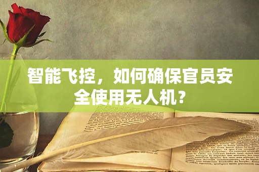 智能飞控，如何确保官员安全使用无人机？