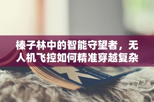 榛子林中的智能守望者，无人机飞控如何精准穿越复杂地形？