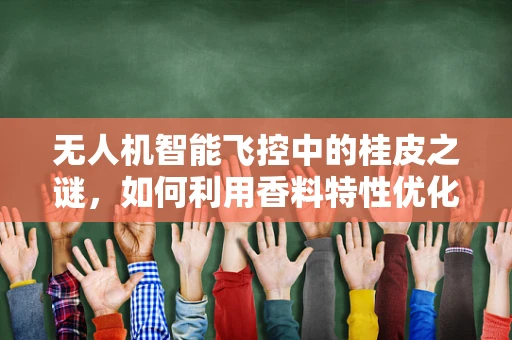 无人机智能飞控中的桂皮之谜，如何利用香料特性优化导航？