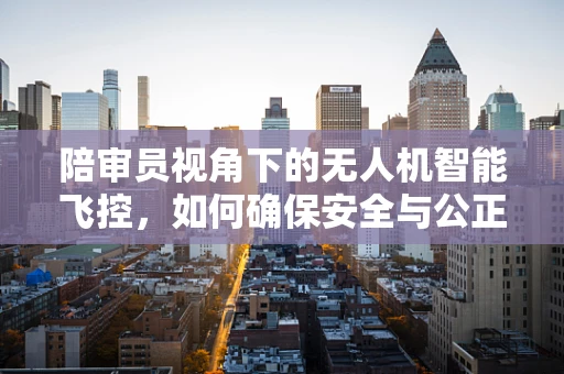 陪审员视角下的无人机智能飞控，如何确保安全与公正？