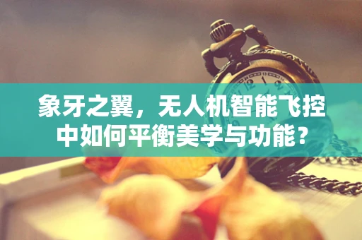 象牙之翼，无人机智能飞控中如何平衡美学与功能？