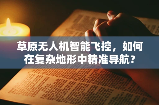 草原无人机智能飞控，如何在复杂地形中精准导航？