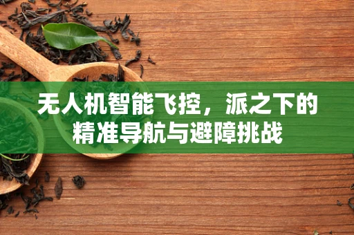 无人机智能飞控，派之下的精准导航与避障挑战
