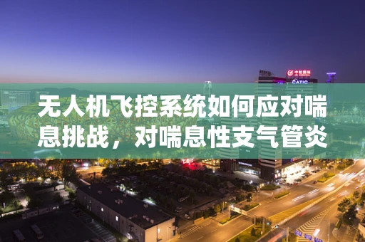 无人机飞控系统如何应对喘息挑战，对喘息性支气管炎患者的安全飞行考量