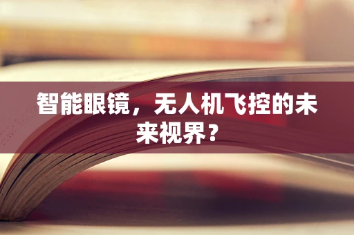智能眼镜，无人机飞控的未来视界？