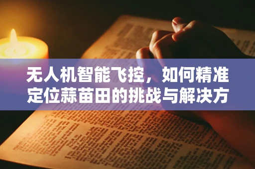 无人机智能飞控，如何精准定位蒜苗田的挑战与解决方案？