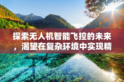 探索无人机智能飞控的未来，渴望在复杂环境中实现精准操控