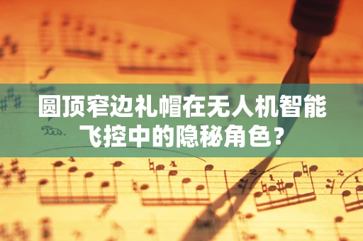 圆顶窄边礼帽在无人机智能飞控中的隐秘角色？