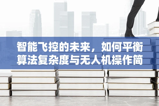智能飞控的未来，如何平衡算法复杂度与无人机操作简便性？