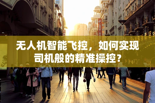 无人机智能飞控，如何实现司机般的精准操控？
