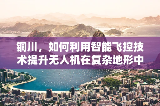 铜川，如何利用智能飞控技术提升无人机在复杂地形中的自主导航能力？