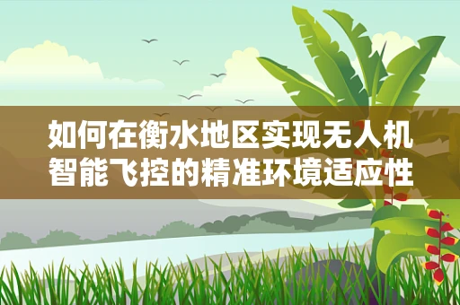 如何在衡水地区实现无人机智能飞控的精准环境适应性？
