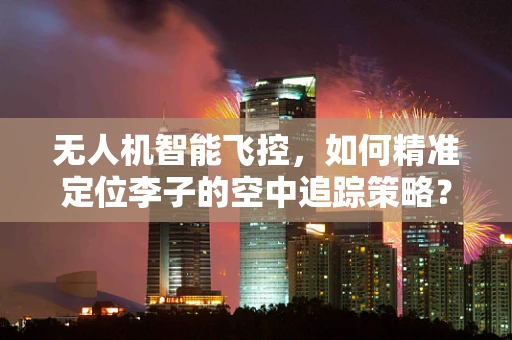 无人机智能飞控，如何精准定位李子的空中追踪策略？