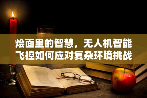 烩面里的智慧，无人机智能飞控如何应对复杂环境挑战？