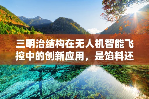 三明治结构在无人机智能飞控中的创新应用，是馅料还是架构的革新？