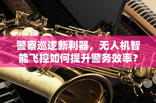 警察巡逻新利器，无人机智能飞控如何提升警务效率？