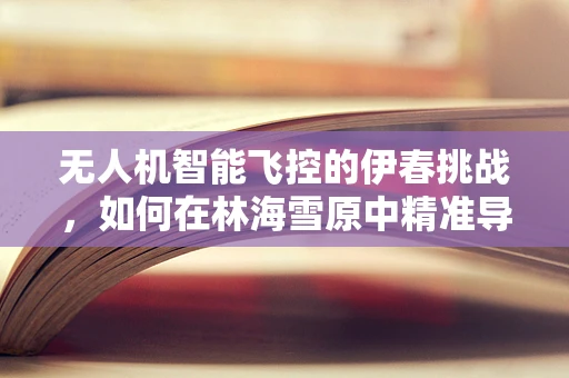 无人机智能飞控的伊春挑战，如何在林海雪原中精准导航？