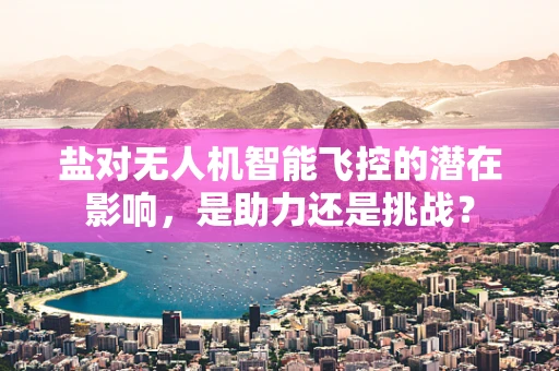 盐对无人机智能飞控的潜在影响，是助力还是挑战？