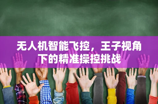 无人机智能飞控，王子视角下的精准操控挑战