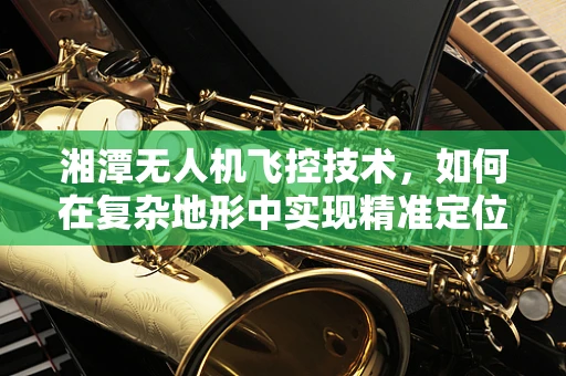 湘潭无人机飞控技术，如何在复杂地形中实现精准定位？