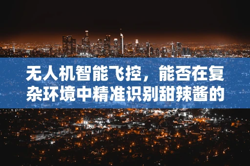 无人机智能飞控，能否在复杂环境中精准识别甜辣酱的投放？