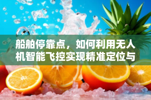 船舶停靠点，如何利用无人机智能飞控实现精准定位与安全监控？