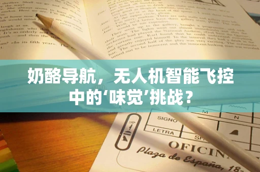 奶酪导航，无人机智能飞控中的‘味觉’挑战？