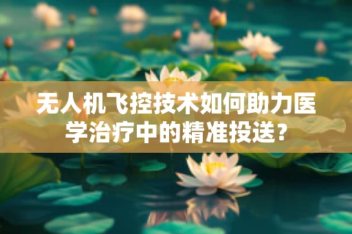 无人机飞控技术如何助力医学治疗中的精准投送？