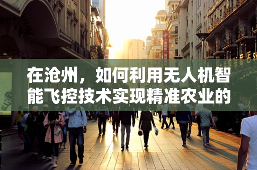 在沧州，如何利用无人机智能飞控技术实现精准农业的飞跃？