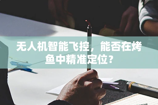 无人机智能飞控，能否在烤鱼中精准定位？