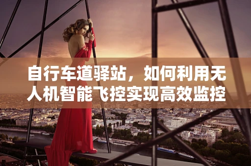 自行车道驿站，如何利用无人机智能飞控实现高效监控与维护？