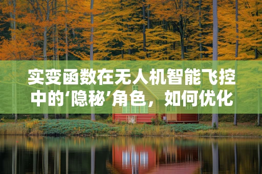 实变函数在无人机智能飞控中的‘隐秘’角色，如何优化飞行轨迹的连续性？