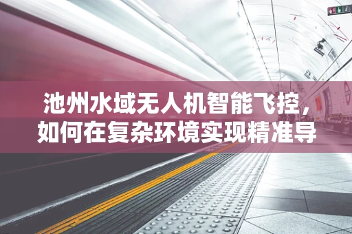 池州水域无人机智能飞控，如何在复杂环境实现精准导航与避障？
