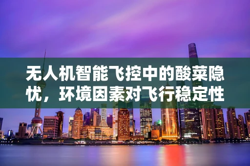 无人机智能飞控中的酸菜隐忧，环境因素对飞行稳定性的影响