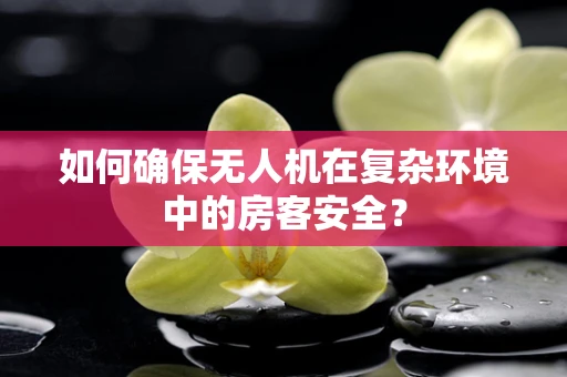 如何确保无人机在复杂环境中的房客安全？