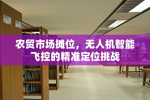 农贸市场摊位，无人机智能飞控的精准定位挑战