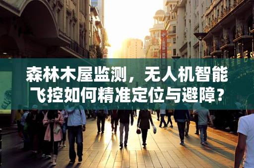 森林木屋监测，无人机智能飞控如何精准定位与避障？