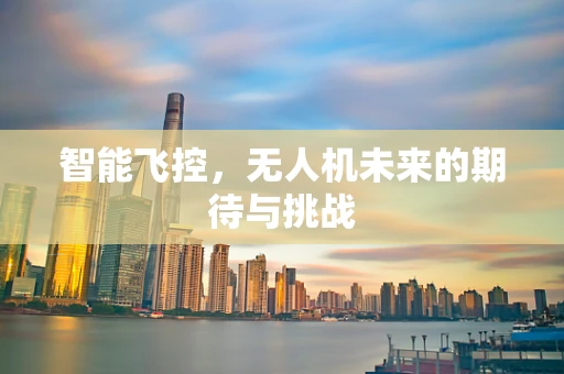 智能飞控，无人机未来的期待与挑战