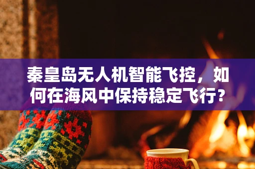 秦皇岛无人机智能飞控，如何在海风中保持稳定飞行？