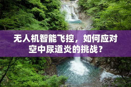 无人机智能飞控，如何应对空中尿道炎的挑战？