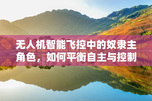 无人机智能飞控中的奴隶主角色，如何平衡自主与控制？