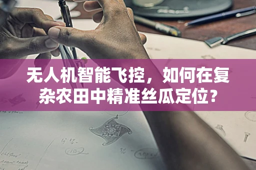 无人机智能飞控，如何在复杂农田中精准丝瓜定位？