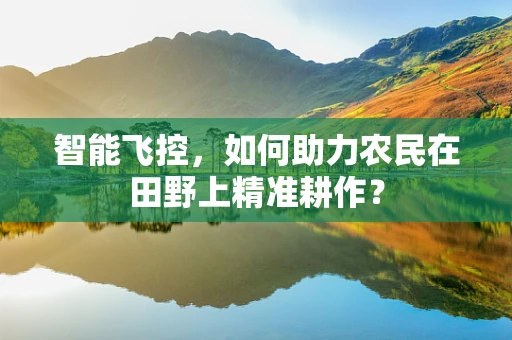 智能飞控，如何助力农民在田野上精准耕作？